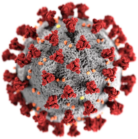 SARS-CoV-2-Virus