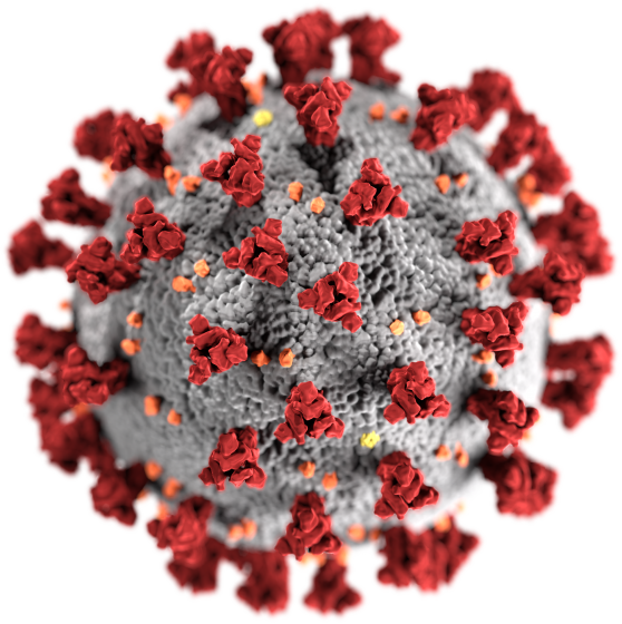 SARS-CoV-2-Virus SARS-CoV-2-Virus